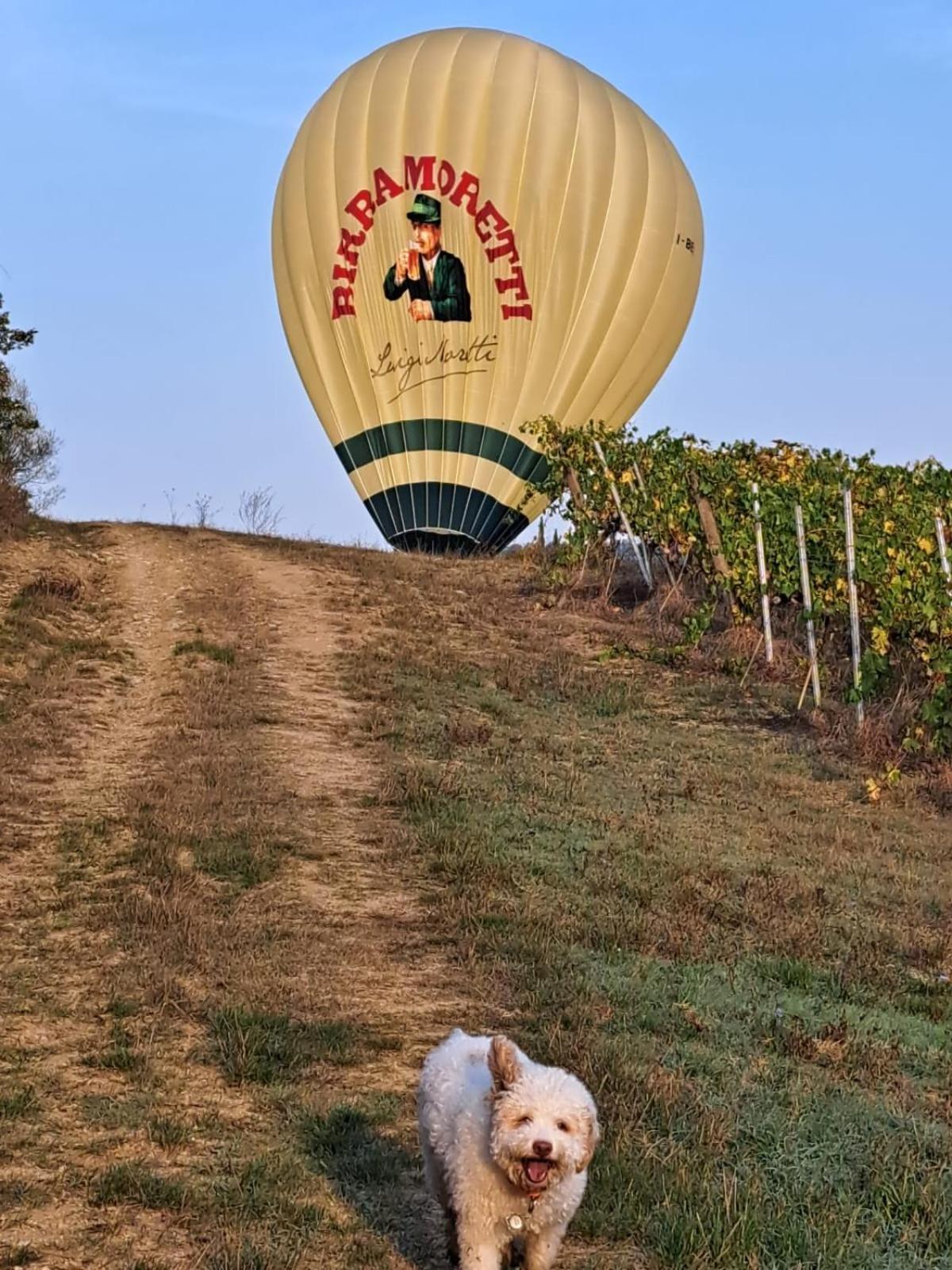 Podere Fichereto Tuscany Apartment In Florence Countryside Scandicci Exterior foto